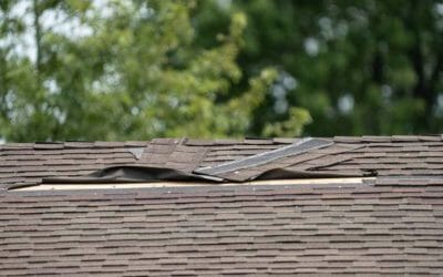 Common Causes of Roof Damage in Westminster