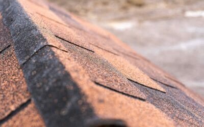 How to Choose the Best Roof for Your Home in Westminster?